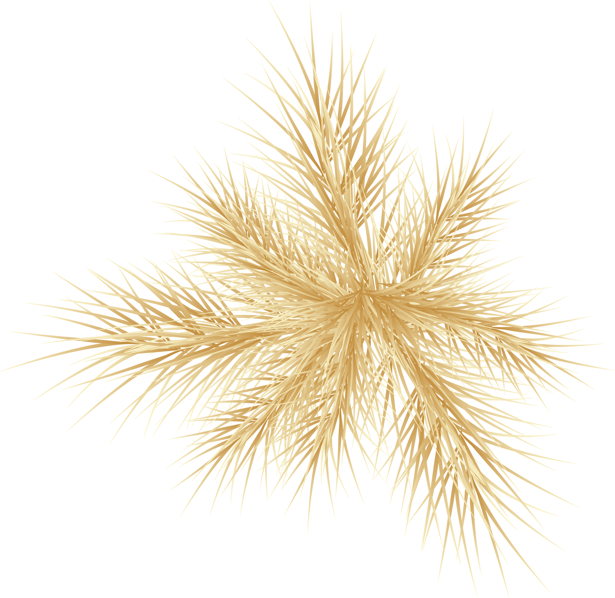 Golden Christmas tree branches